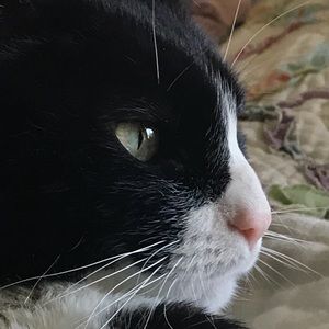 Meet your Posher, Allyson